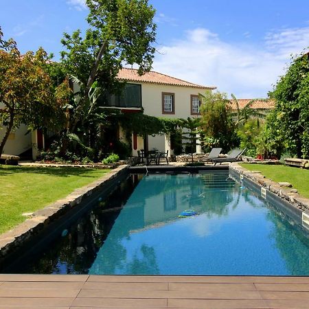 푼샬 Quinta Araucaria Funchal 아파트 외부 사진